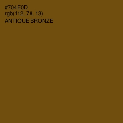 #704E0D - Antique Bronze Color Image